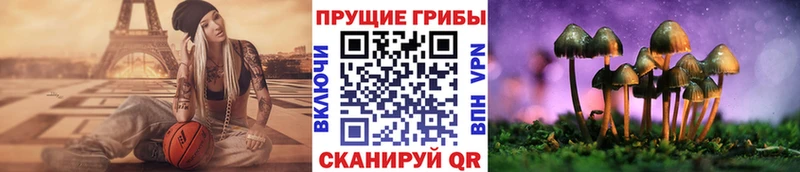мориарти формула  наркошоп  Пугачёв  Псилоцибиновые грибы мухоморы 